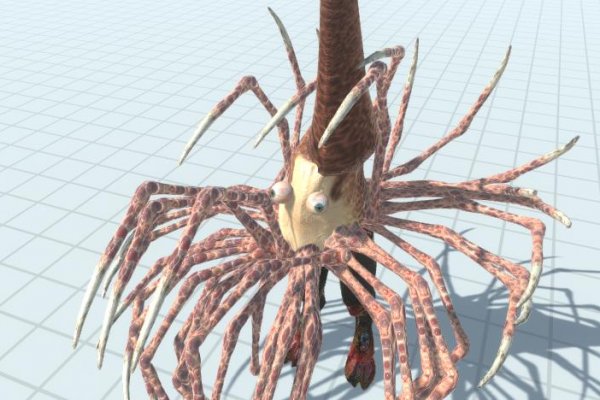 Kraken ссылка тор 2krnk biz